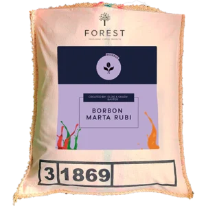 TROPICAL FOREST - COLOMBIA